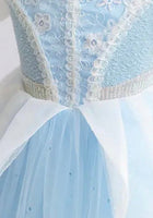 Load image into Gallery viewer, Blue &amp; White Floral Princess Party Dress (pre order) - Fox Baby &amp; Co
