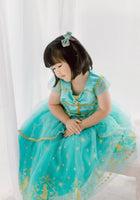 Load image into Gallery viewer, Genie Princess Birthday Party Dress Costume (pre order) - Fox Baby &amp; Co
