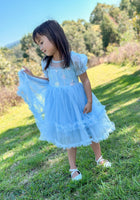 Load image into Gallery viewer, Snow Sapphire Princess Party Dress - Fox Baby &amp; Co
