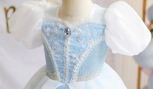 Blue & White Floral Princess Party Dress (pre order) - Fox Baby & Co