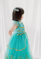 Load image into Gallery viewer, Genie Princess Birthday Party Dress Costume (pre order) - Fox Baby &amp; Co
