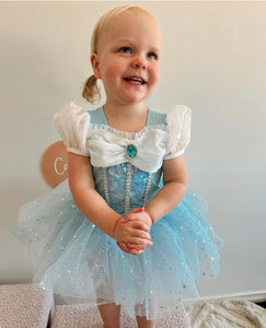 New Snow Princess Birthday Tutu - Fox Baby & Co