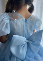 Load image into Gallery viewer, Bluebell Luxe Princess Birthday Party Dress Costume - Fox Baby &amp; Co
