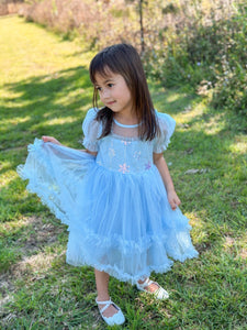 Snow Sapphire Princess Party Dress - Fox Baby & Co