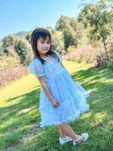 Snow Sapphire Princess Party Dress - Fox Baby & Co