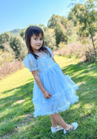 Load image into Gallery viewer, Snow Sapphire Princess Party Dress - Fox Baby &amp; Co
