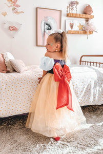 Magical Luxe Princess Birthday Party Dress Costume - Fox Baby & Co