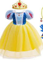 Load image into Gallery viewer, Magical Snow Luxe Princess Birthday Party Dress Costume &amp; Jewellery Set - Fox Baby &amp; Co
