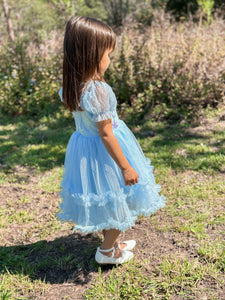 Snow Sapphire Princess Party Dress - Fox Baby & Co