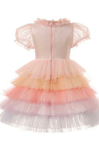 Load image into Gallery viewer, Kid little girl Pastel Rainbow Ombré Princess Tulle Dress (Pre order) - Fox Baby &amp; Co
