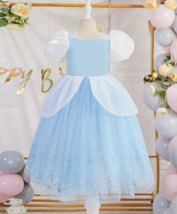 Blue & White Floral Princess Party Dress (pre order) - Fox Baby & Co