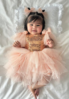 Load image into Gallery viewer, Giselle Sparkle Tulle Birthday Dress - Pre order - Fox Baby &amp; Co
