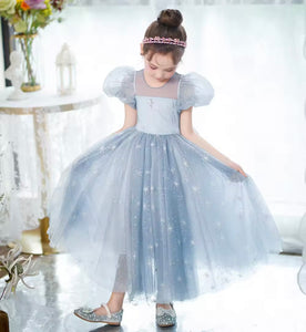 Snow Elsa Princess Birthday Party Dress Costume