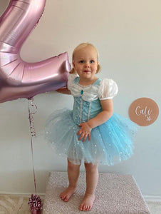 New Snow Princess Birthday Tutu - Fox Baby & Co