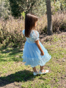 Snow Sapphire Princess Party Dress - Fox Baby & Co