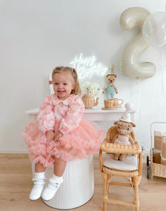 Little girl Rosie Tutu Birthday Party Long Sleeve Dress - Fox Baby & Co