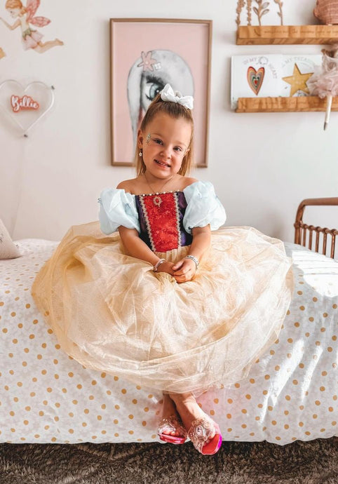 Magical Luxe Princess Birthday Party Dress Costume - Fox Baby & Co