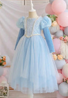 Load image into Gallery viewer, Snow Princess Birthday Long Sleeve Party Dress Costume - Fox Baby &amp; Co
