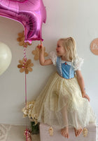 Load image into Gallery viewer, Magical Princess Birthday Party Dress Costume - Fox Baby &amp; Co
