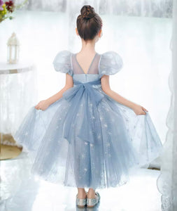 Snow Elsa Princess Birthday Party Dress Costume