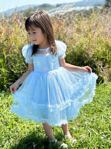 Snow Sapphire Princess Party Dress - Fox Baby & Co