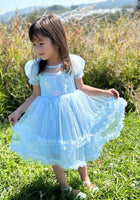 Load image into Gallery viewer, Snow Sapphire Princess Party Dress - Fox Baby &amp; Co
