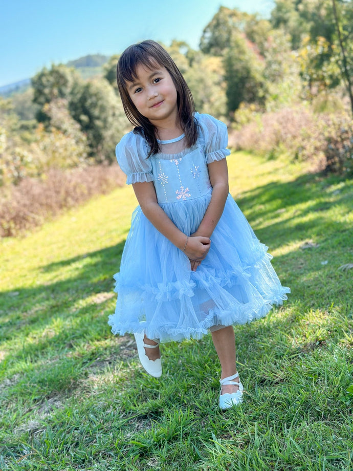 Snow Sapphire Princess Party Dress - Fox Baby & Co