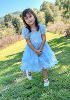 Load image into Gallery viewer, Snow Sapphire Princess Party Dress - Fox Baby &amp; Co
