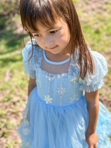 Snow Sapphire Princess Party Dress - Fox Baby & Co