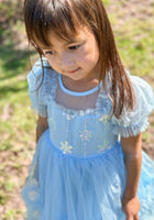 Load image into Gallery viewer, Snow Sapphire Princess Party Dress - Fox Baby &amp; Co
