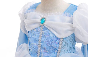 Enchanted Snow Princess Long Sleeve Birthday Party Dress Costume (Pre order) - Fox Baby & Co