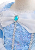 Load image into Gallery viewer, Enchanted Snow Princess Long Sleeve Birthday Party Dress Costume (Pre order) - Fox Baby &amp; Co

