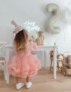 Little girl Rosie Tutu Birthday Party Long Sleeve Dress - Fox Baby & Co