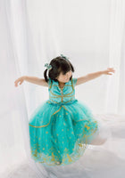 Load image into Gallery viewer, Genie Princess Birthday Party Dress Costume (pre order) - Fox Baby &amp; Co
