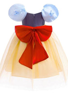 Load image into Gallery viewer, Magical Luxe Princess Birthday Party Dress Costume - Fox Baby &amp; Co
